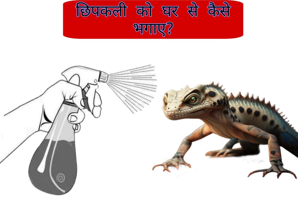 छिपकली को घर से कैसे भगाए